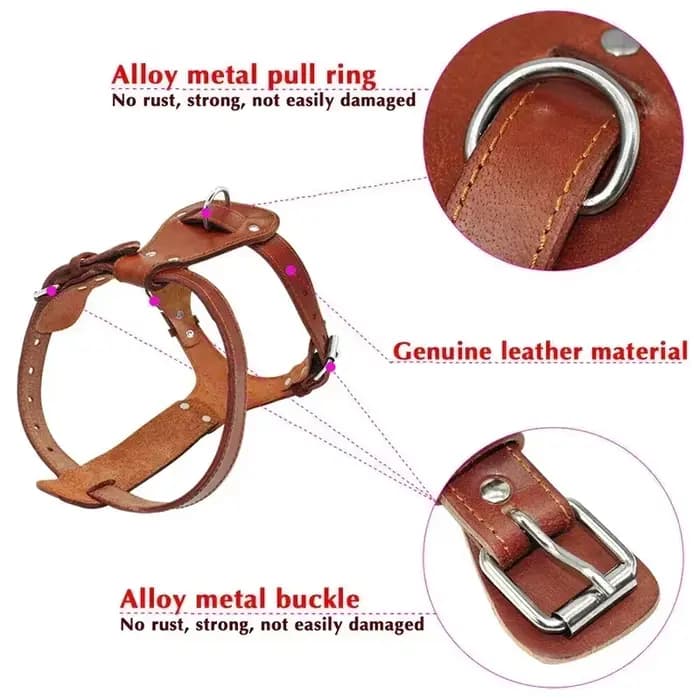 Harnais en cuir véritable pour chien et chat