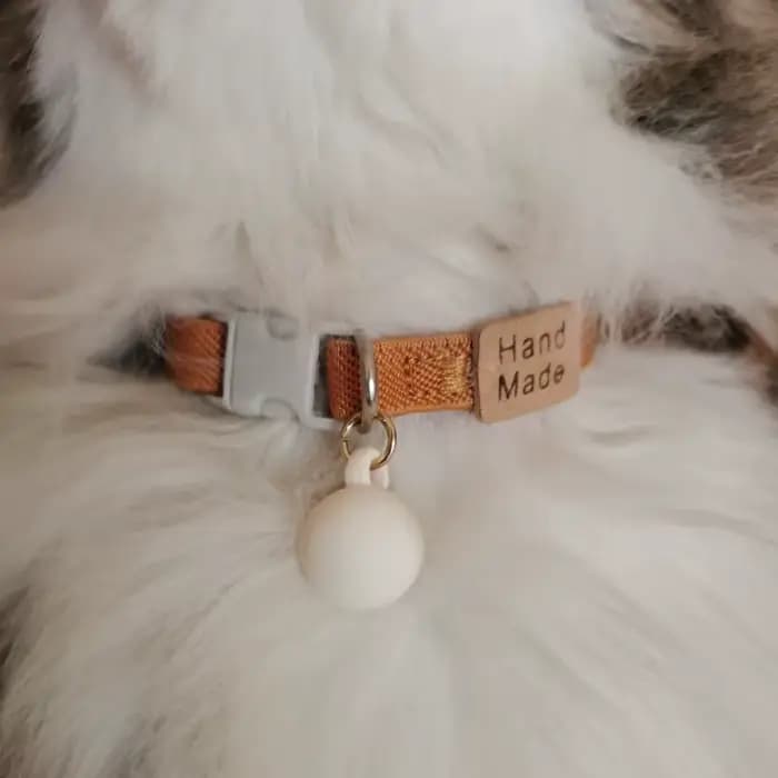 Collier réfléchissant pour chat