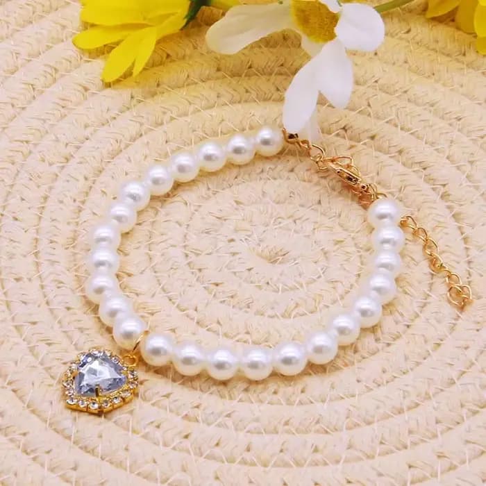 Collier de perles pour animaux de compagnie
