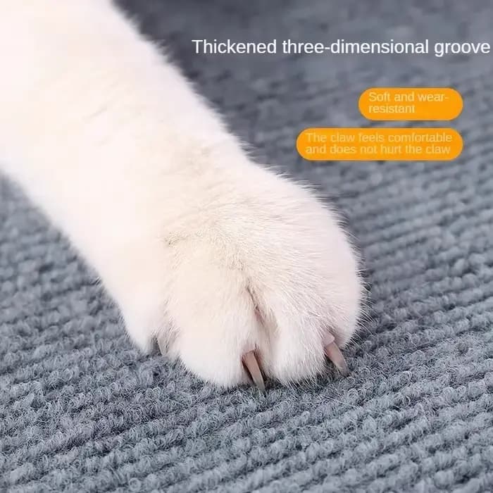 Poste à gratter pour canapé, ruban auto-adhésif, grattoirs pour tapis pour chats, aiguiseur de griffes, accessoires, grattoir pour animaux de compagnie