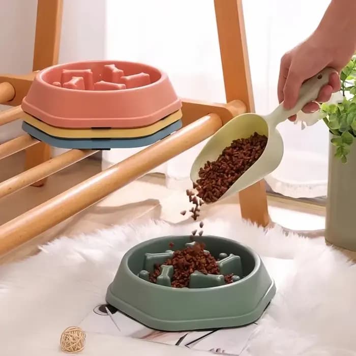 Bol de nourriture lente pour chien et chat