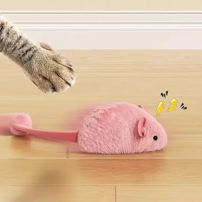 Jouets interactifs en peluche pour chat