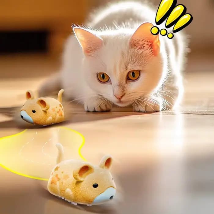 Jouets interactifs pour chats d'intérieur