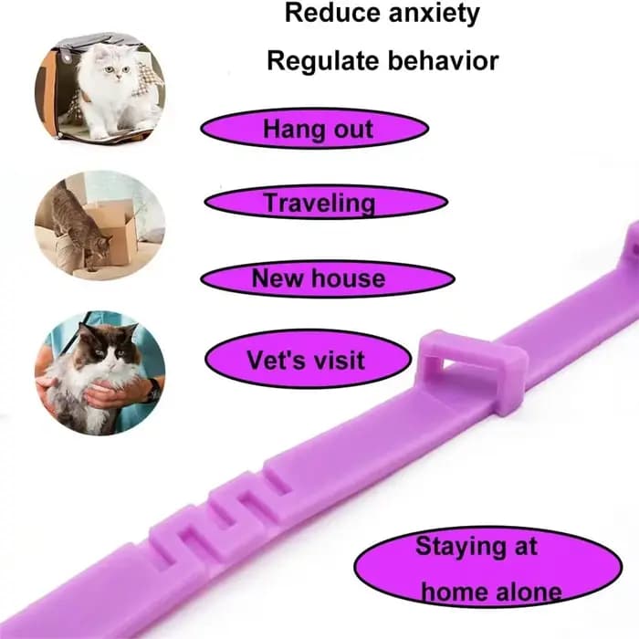 Collier apaisant pour animaux de compagnie