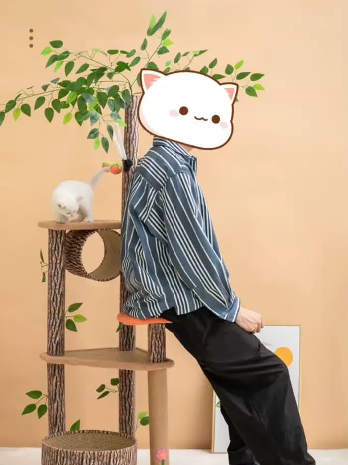 Grand Cadre d'Escalade pour Chat
