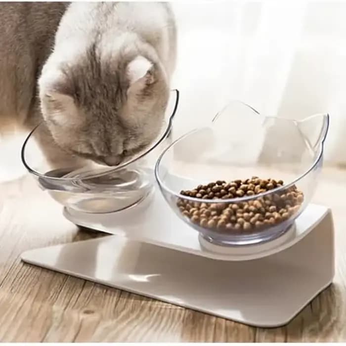Bols pour chat, bols de nourriture pour chat inclinés surélevés