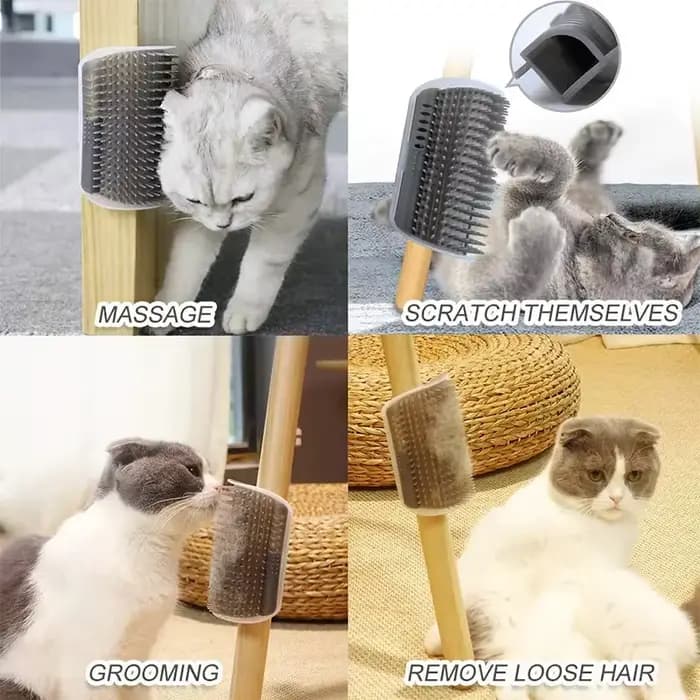Peigne de Massage à gratter pour chat, brosse à gratter d'angle avec herbe à chat, peigne de démêlage pour animaux de compagnie pour épilation, toilettage