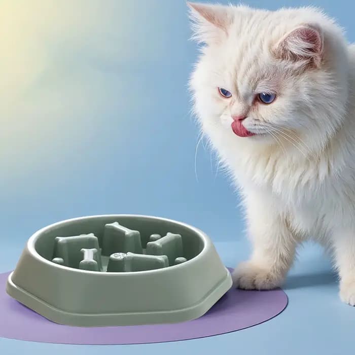 Bols d'alimentation lente pour chats et chiens