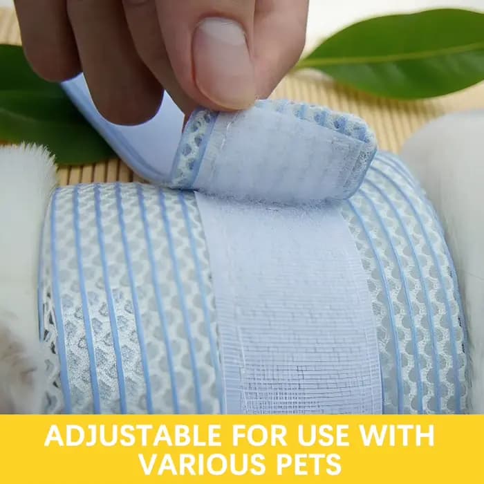 Collier de cou Anti-léchage pour chat