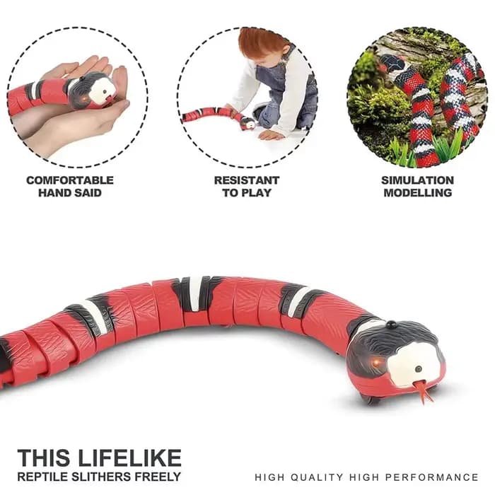 Jouets automatiques pour chats