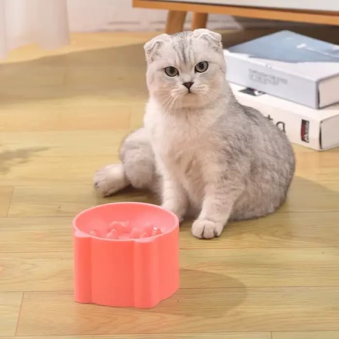 Bol de nourriture lente pour chat