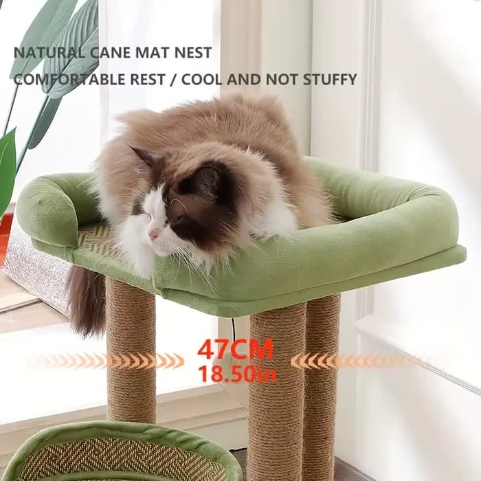 Arbre à chat de luxe à 2 niveaux avec postes à gratter en Sisal
