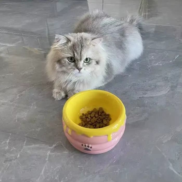 Bol pour chat en céramique