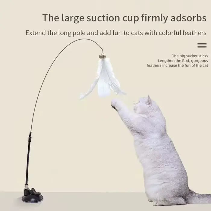 Jouet interactif pour chat