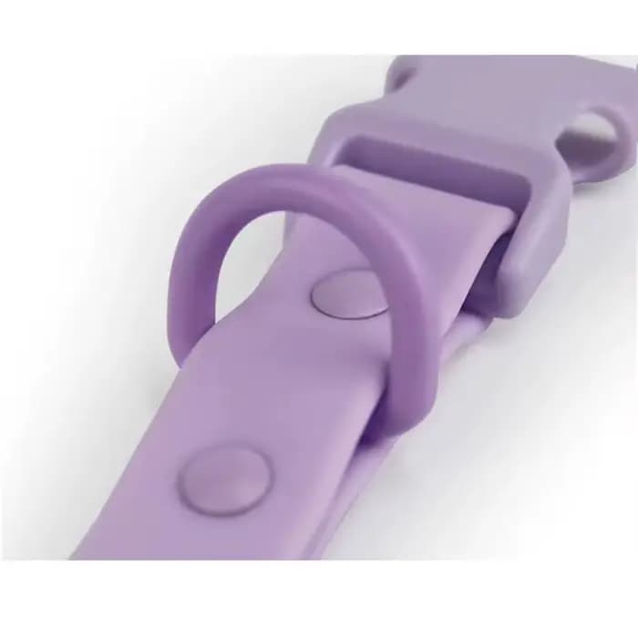 Collier de chien à sangle élastique
