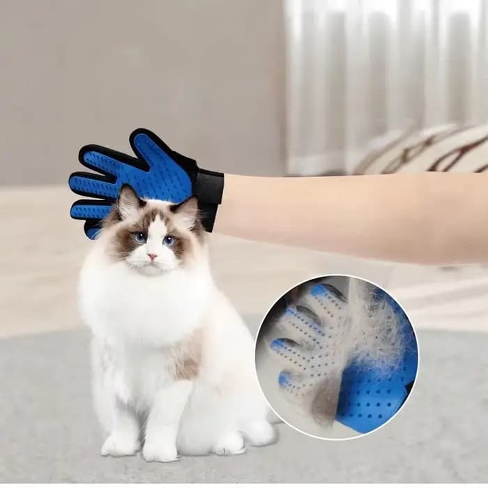 Gant de toilettage pour chat