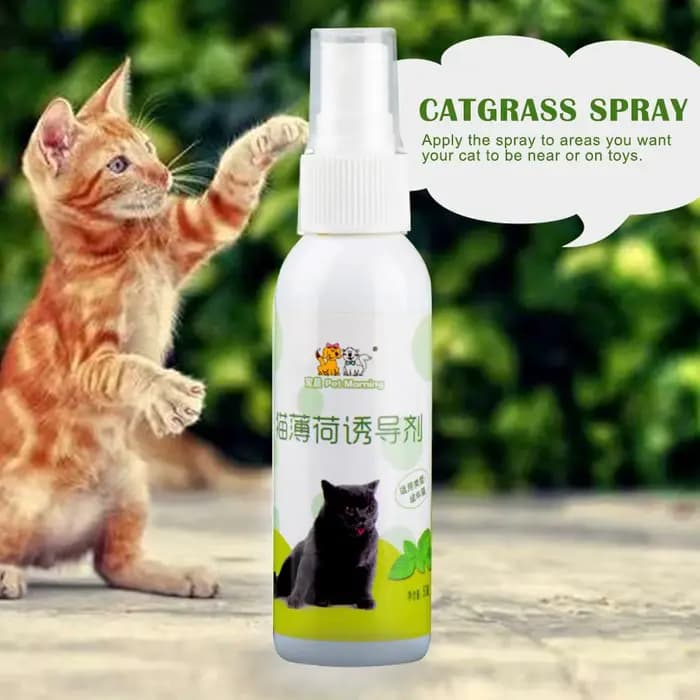 Spray d'herbe à chat pour chat
