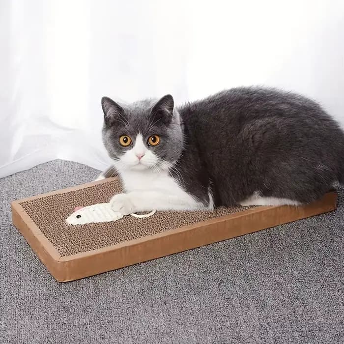 1 ensemble de grattoir pour chat, tampon à gratter d'intérieur et poteaux à gratter, jouets idéaux pour l'entretien des griffes