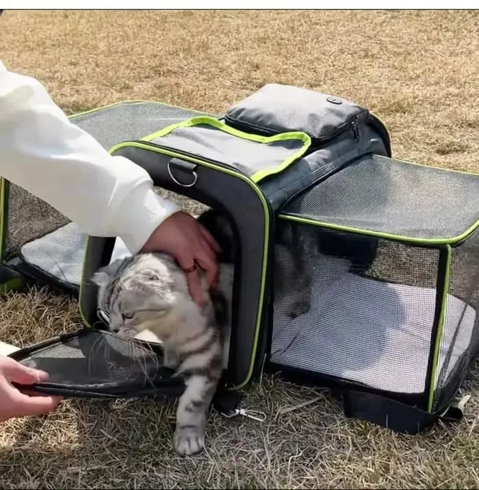 Sac de voyage pliable de grande capacité pour chat