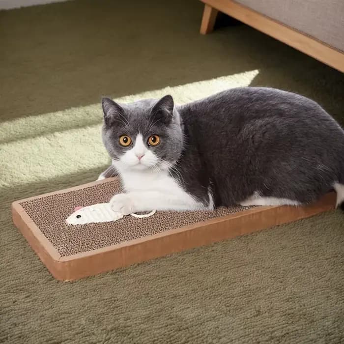1 ensemble de grattoir pour chat, tampon à gratter d'intérieur et poteaux à gratter, jouets idéaux pour l'entretien des griffes