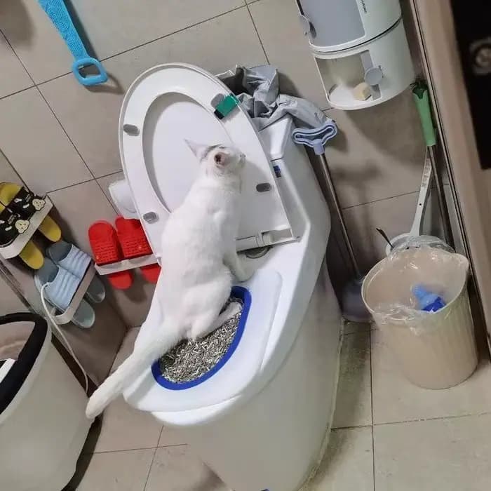 Entraîneur de toilettes pour chat