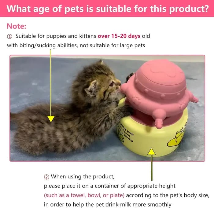 Mangeoire pour chiots et chatons nouveau-nés
