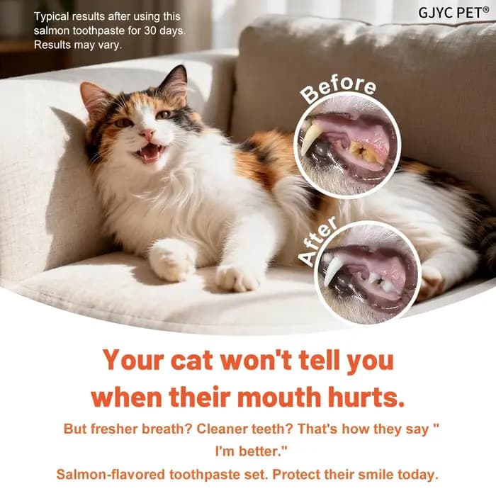 Gel dentaire enzymatique pour chat, saveur saumon, éliminateur de plaque et de tartre, soin buccal, haleine fraîche, comestible, sûr pour le brossage quotidien