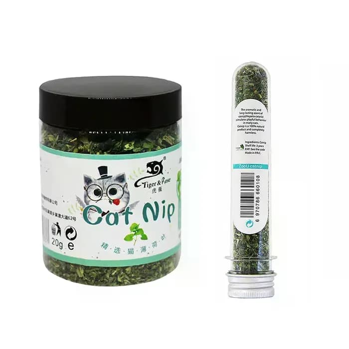 Herbe à chat biologique naturelle de haute qualité