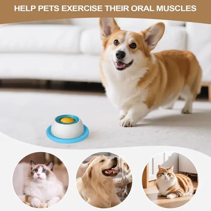 Accessoires d'alimentation pour animaux de compagnie