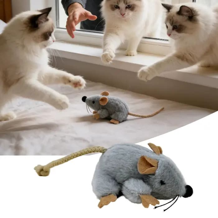Jouet en peluche pour chat