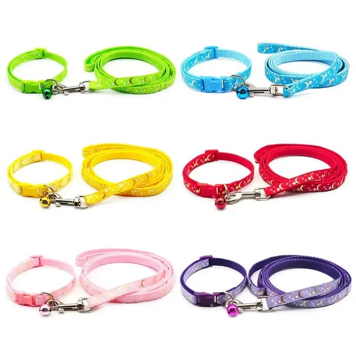 Collier pour chien et chat