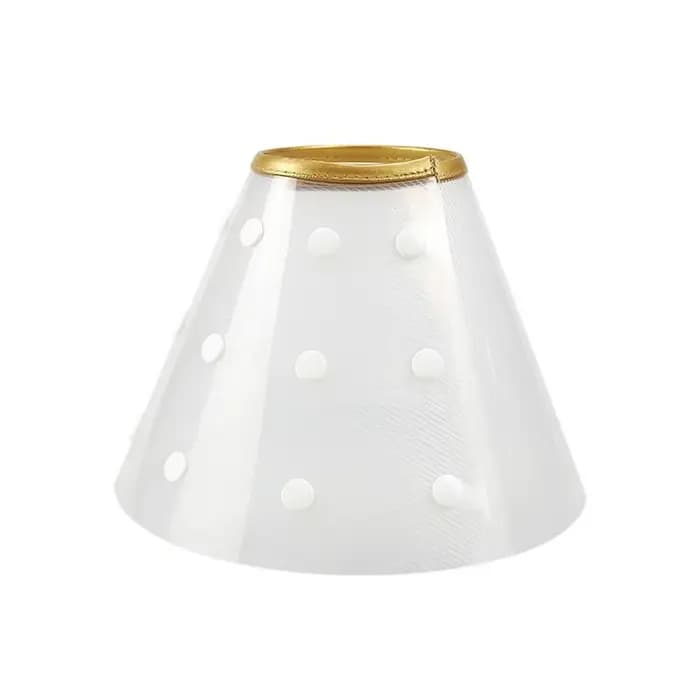 Collier de récupération Transparent pour chat