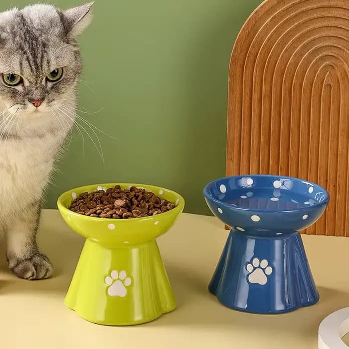 Bol pour chat en céramique