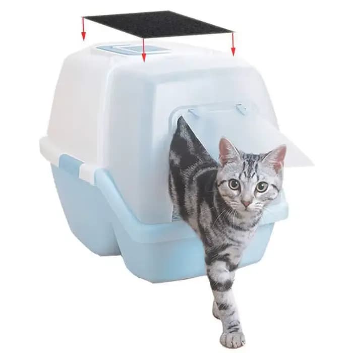Filtre à litière pour chat domestique 4/6/8 pièces