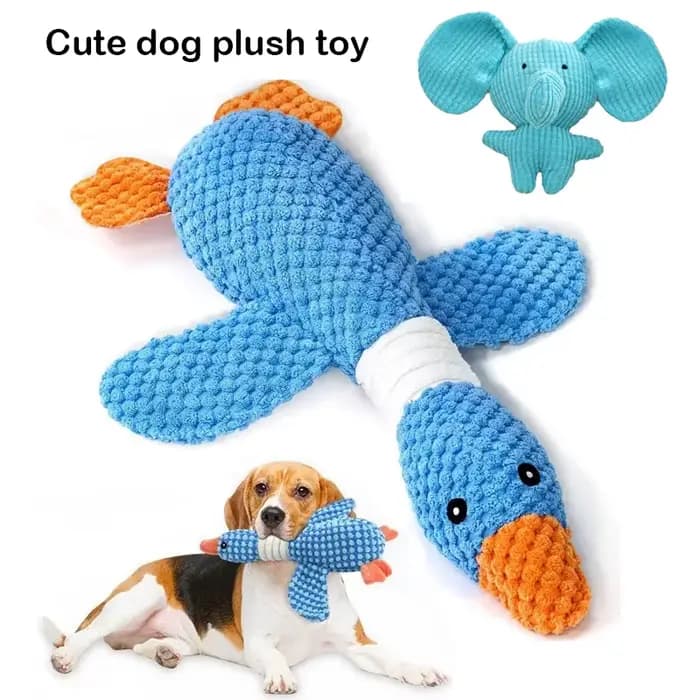 Jouets pour chats et chiens agressifs