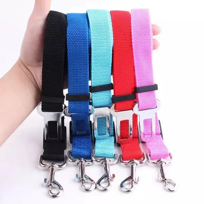 Ceinture de sécurité pour chien