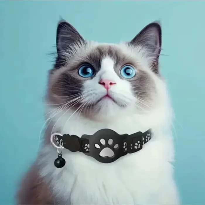 Collier de sécurité pour chat avec boucle