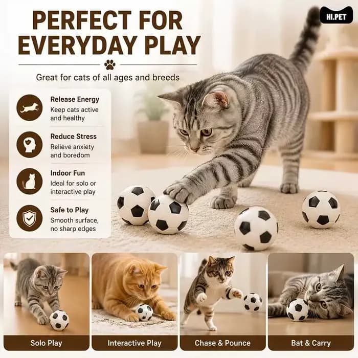 4 jouets de football pour chat