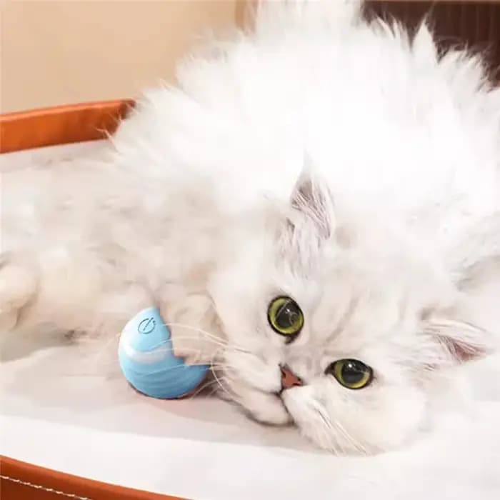 Balle Magique Interactive Électrique pour Chat, Jouet d'Entraînement pour Chaton à Mouvement existent