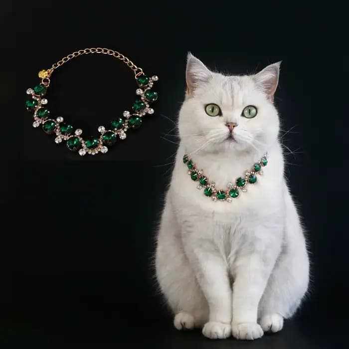 Chaîne de cou de chat en strass