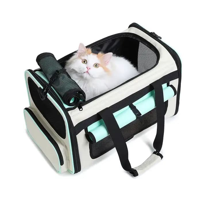 Mallette de transport pour chat