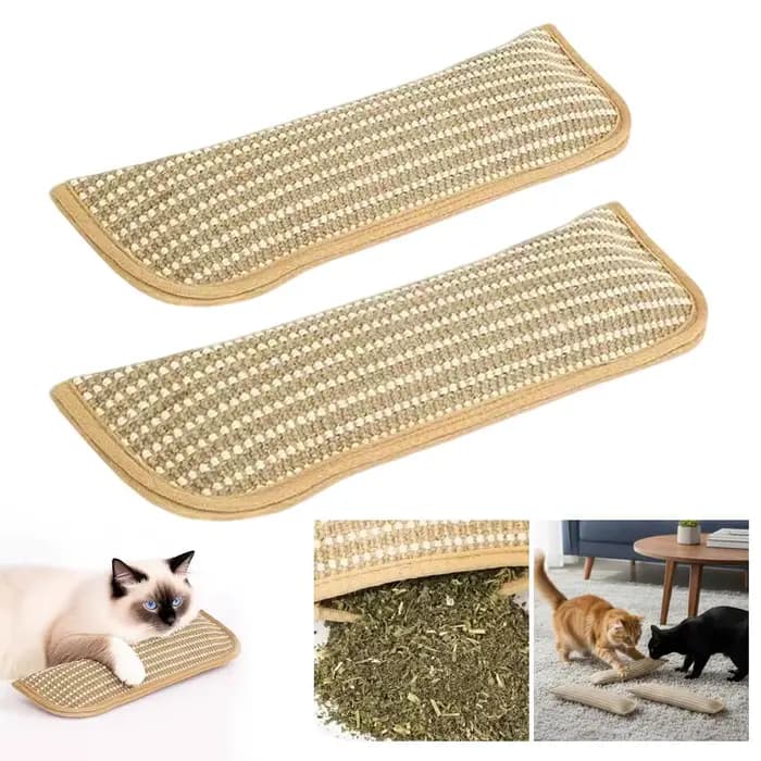 Jouets interactifs à gratter pour chat