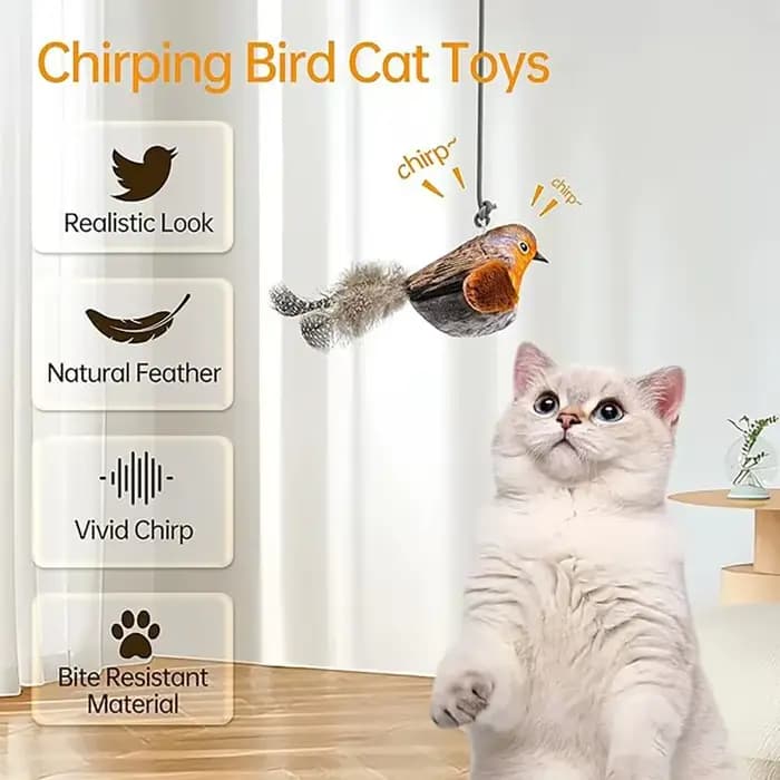 Jouet interactif d'intérieur pour chat