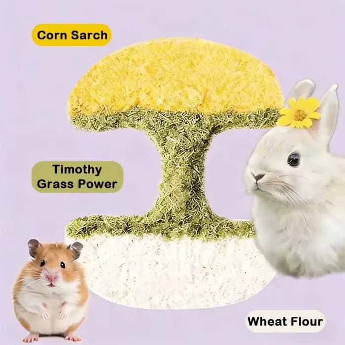 Biscuits à mâcher pour hamster