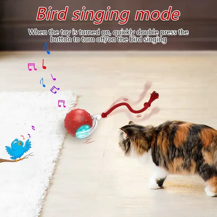 Balle jouet interactive pour chat avec oiseaux