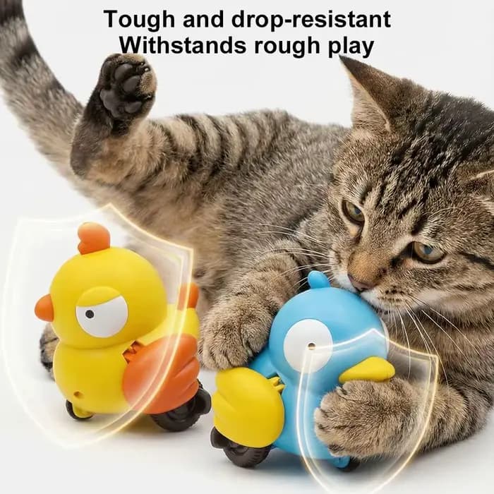 Jouet interactif automatique pour chat
