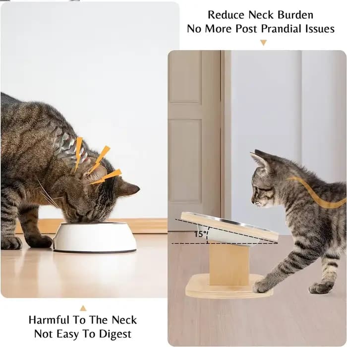 Bols surélevés pour chien et chat