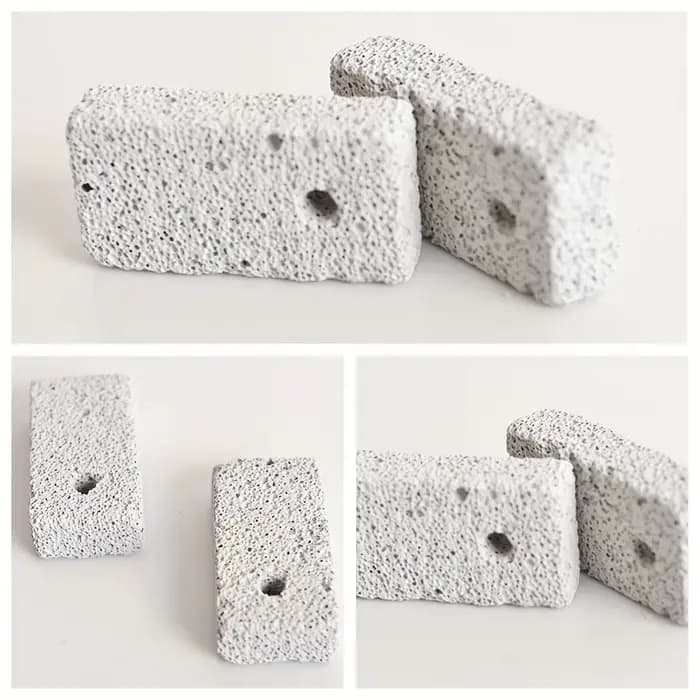 Naturel pour animaux de compagnie