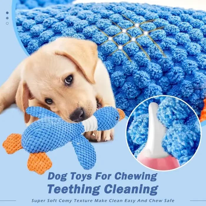 Jouets pour chats et chiens agressifs