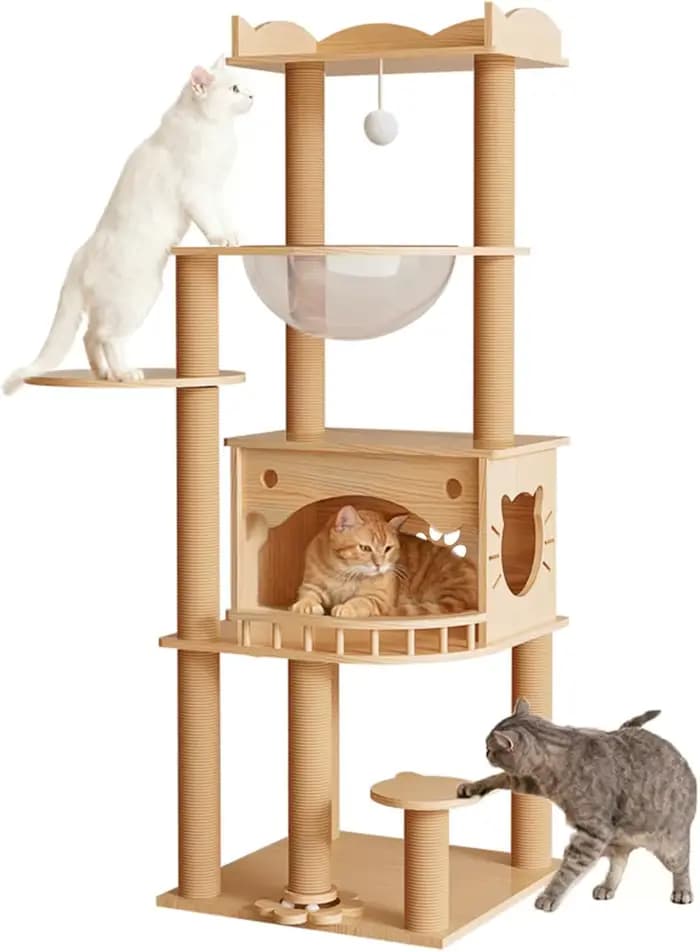 Arbre à chat en pin massif pour chats d'intérieur